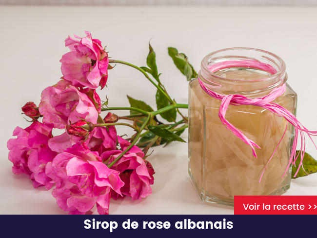 Sirop de rose albanais